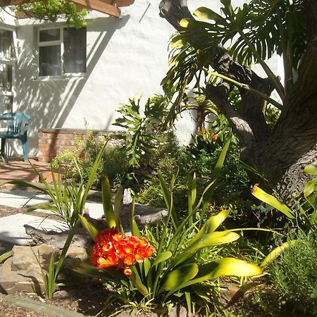 Be My Guest Lodge Bloubergstrand Pokoj fotografie