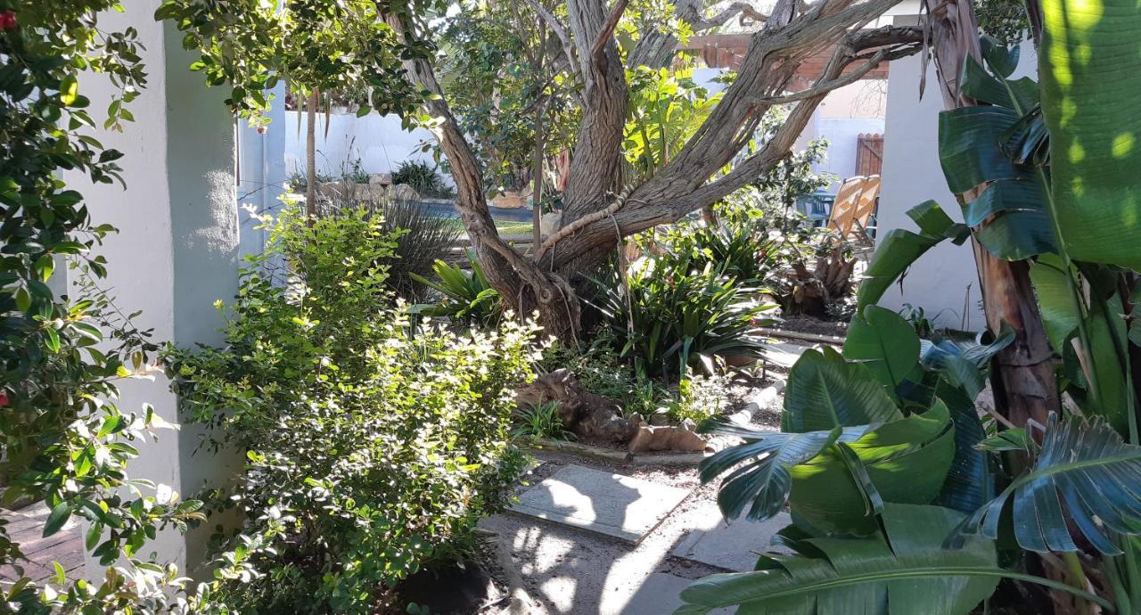 Be My Guest Lodge Bloubergstrand Exteriér fotografie