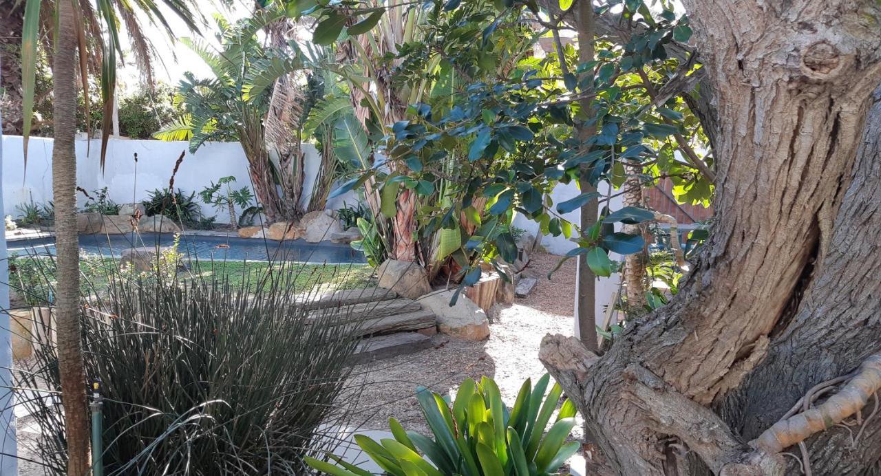 Be My Guest Lodge Bloubergstrand Exteriér fotografie